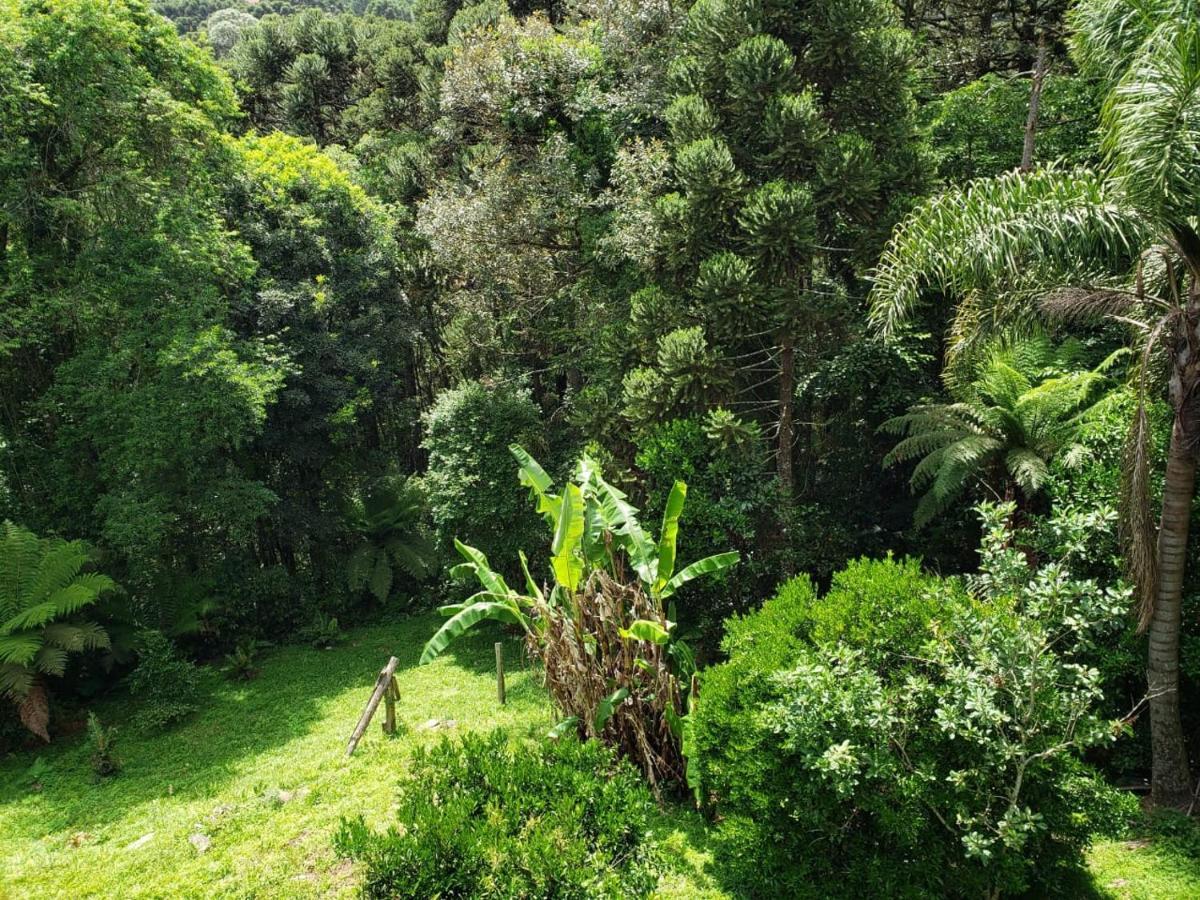 Linda Casa Proximo Ao Portico De Gramado Villa Ngoại thất bức ảnh